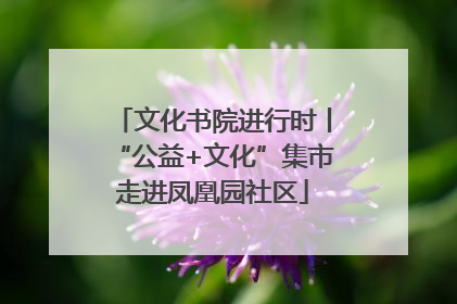 文化书院进行时丨“公益+文化”集市走进凤凰园社区