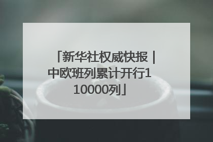 新华社权威快报｜中欧班列累计开行110000列