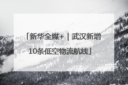 新华全媒+｜武汉新增10条低空物流航线