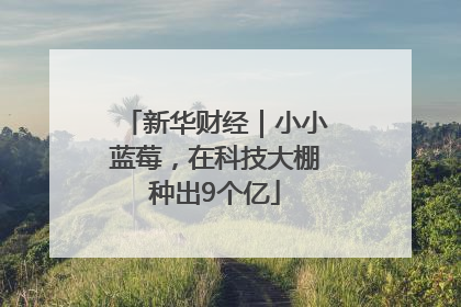 新华财经｜小小蓝莓，在科技大棚种出9个亿