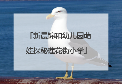 新晨锦和幼儿园萌娃探秘莲花街小学