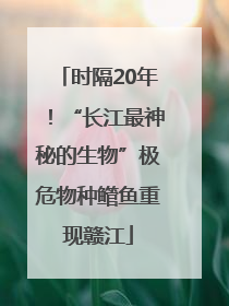 时隔20年！“长江最神秘的生物”极危物种鳤鱼重现赣江