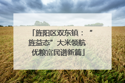 旌阳区双东镇：“旌益态”大米领航 优粮富民谱新篇