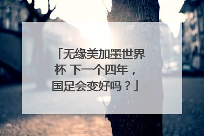 无缘美加墨世界杯 下一个四年，国足会变好吗？