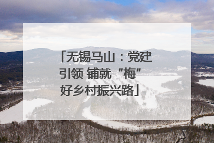 无锡马山：党建引领 铺就“梅”好乡村振兴路
