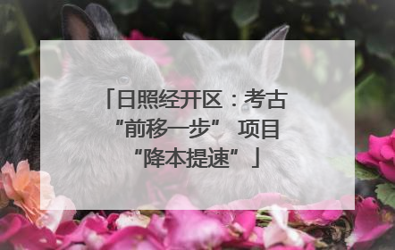 日照经开区：考古“前移一步” 项目“降本提速”