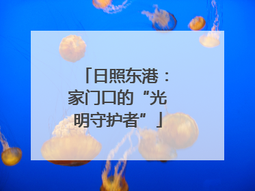 日照东港：家门口的“光明守护者”