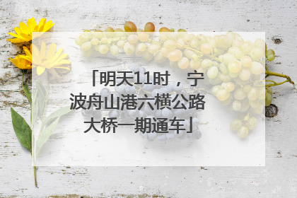 明天11时，宁波舟山港六横公路大桥一期通车