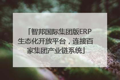 智邦国际集团版ERP生态化开放平台，连接百家集团产业链系统