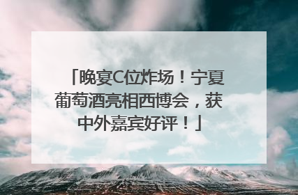 晚宴C位炸场！宁夏葡萄酒亮相西博会，获中外嘉宾好评！
