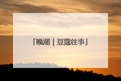 晚潮｜豆蔻往事