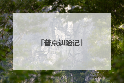 普京遇险记