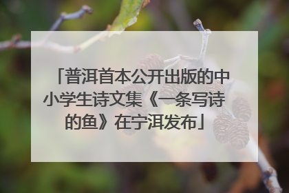 普洱首本公开出版的中小学生诗文集《一条写诗的鱼》在宁洱发布