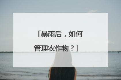 暴雨后，如何管理农作物？