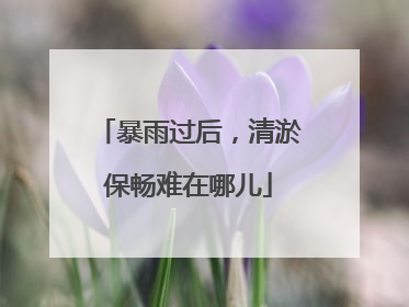 暴雨过后，清淤保畅难在哪儿