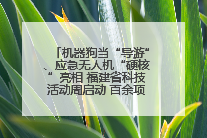 机器狗当“导游”、应急无人机“硬核”亮相 福建省科技活动周启动 百余项特色活动酷炫来袭