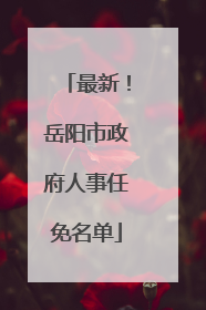最新！岳阳市政府人事任免名单