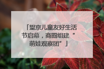 望京儿童友好生活节启幕，商圈组建“萌娃观察团”