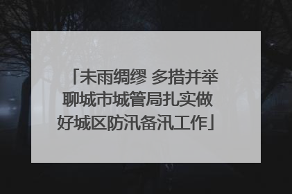 未雨绸缪 多措并举 聊城市城管局扎实做好城区防汛备汛工作