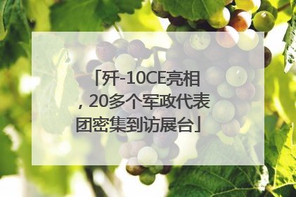 歼-10CE亮相，20多个军政代表团密集到访展台