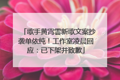 歌手黄霄雲新歌文案抄袭单依纯！工作室凌晨回应：已下架并致歉