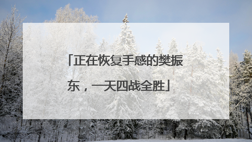 正在恢复手感的樊振东，一天四战全胜