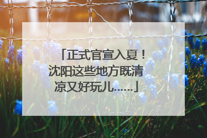 正式官宣入夏！沈阳这些地方既清凉又好玩儿……