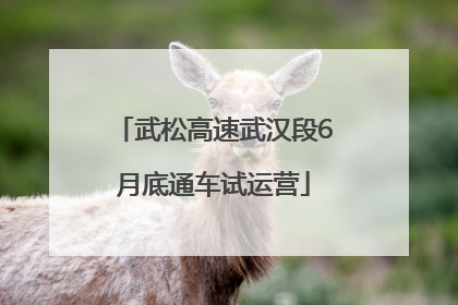 武松高速武汉段6月底通车试运营