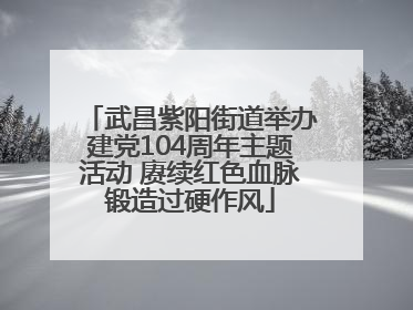 武昌紫阳街道举办建党104周年主题活动 赓续红色血脉锻造过硬作风