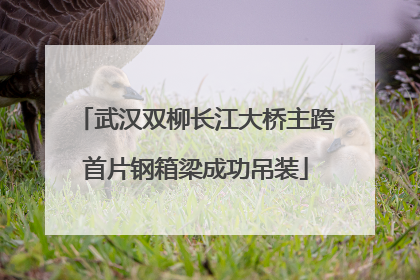 武汉双柳长江大桥主跨首片钢箱梁成功吊装