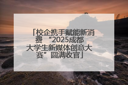 校企携手赋能新消费 “2025成都大学生新媒体创意大赛”圆满收官