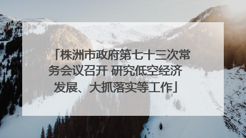 株洲市政府第七十三次常务会议召开 研究低空经济发展、大抓落实等工作