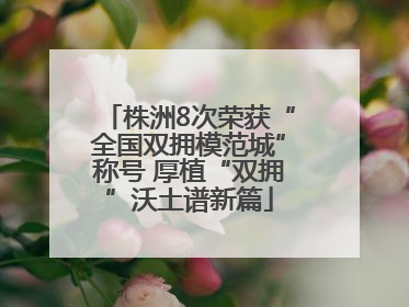 株洲8次荣获“全国双拥模范城”称号 厚植“双拥”沃土谱新篇