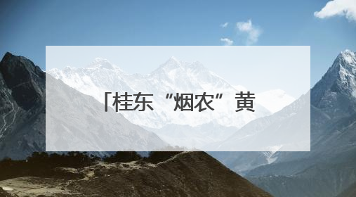 桂东“烟农”黄德文：烟田有效益就是最大的成就