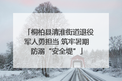 桐柏县清淮街道退役军人勇担当 筑牢暑期防溺“安全堤”