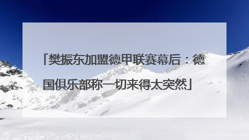 樊振东加盟德甲联赛幕后：德国俱乐部称一切来得太突然