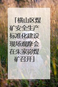 横山区煤矿安全生产标准化建设现场观摩会在朱家峁煤矿召开