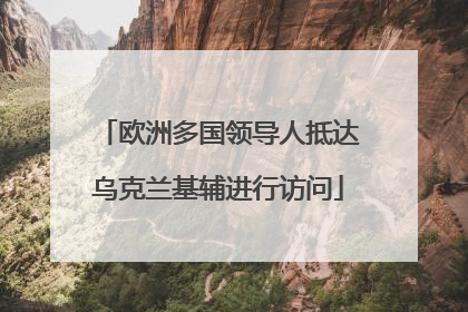 欧洲多国领导人抵达乌克兰基辅进行访问