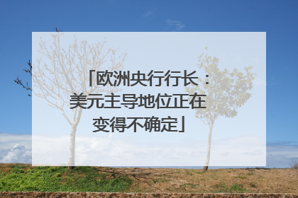 欧洲央行行长：美元主导地位正在变得不确定