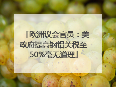 欧洲议会官员：美政府提高钢铝关税至50%毫无道理