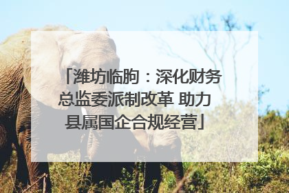 潍坊临朐：深化财务总监委派制改革 助力县属国企合规经营