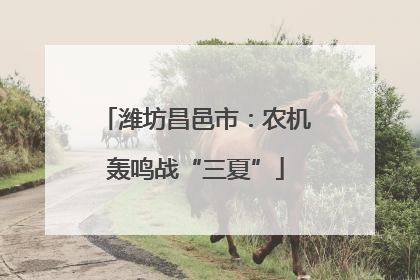 潍坊昌邑市：农机轰鸣战“三夏”