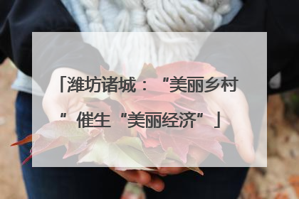 潍坊诸城：“美丽乡村”催生“美丽经济”