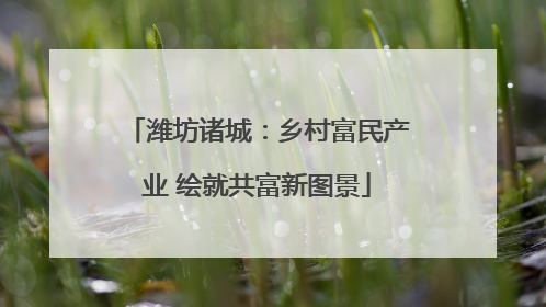 潍坊诸城：乡村富民产业 绘就共富新图景