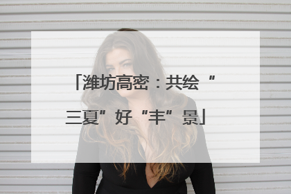 潍坊高密：共绘“三夏”好“丰”景