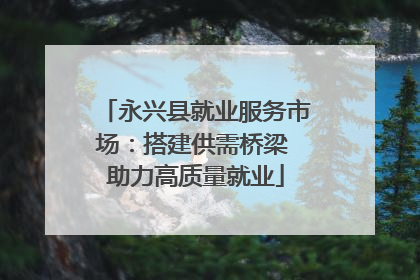 永兴县就业服务市场：搭建供需桥梁 助力高质量就业