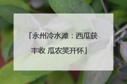 永州冷水滩：西瓜获丰收 瓜农笑开怀