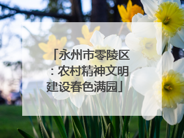 永州市零陵区：农村精神文明建设春色满园