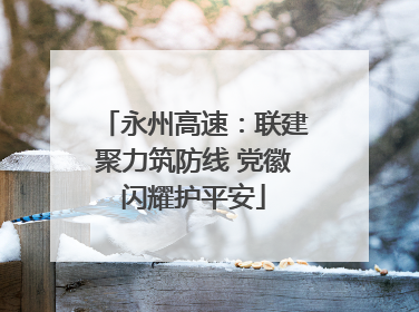 永州高速：联建聚力筑防线 党徽闪耀护平安