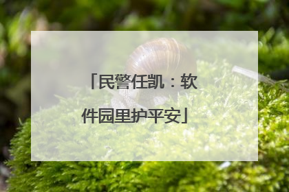 民警任凯：软件园里护平安